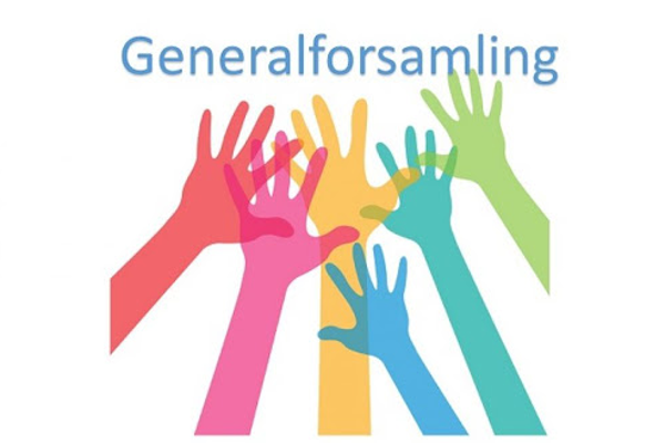 Generalforsamling 1