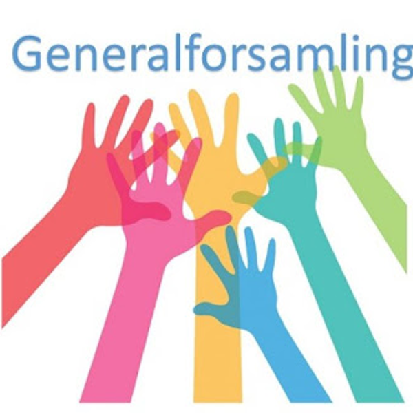 Generalforsamling 1